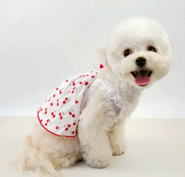 Cherry Ruffle Dog Dress