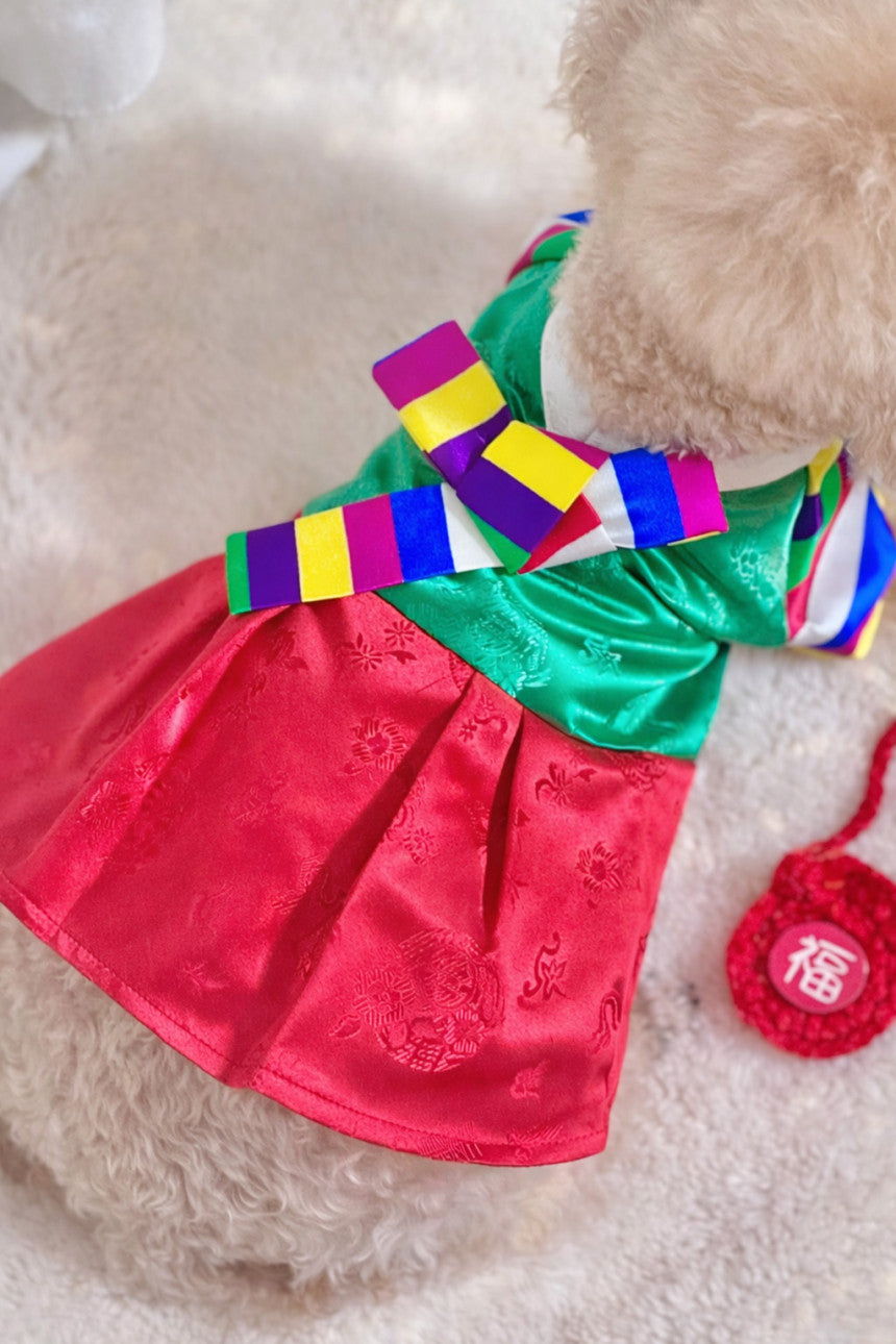 Korean Saekdong Pet Hanbok