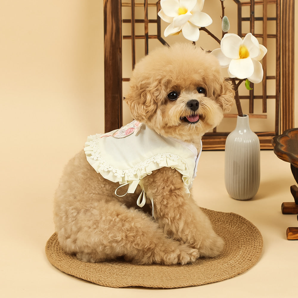 Floral Lace Baeja Vest Pet Hanbok