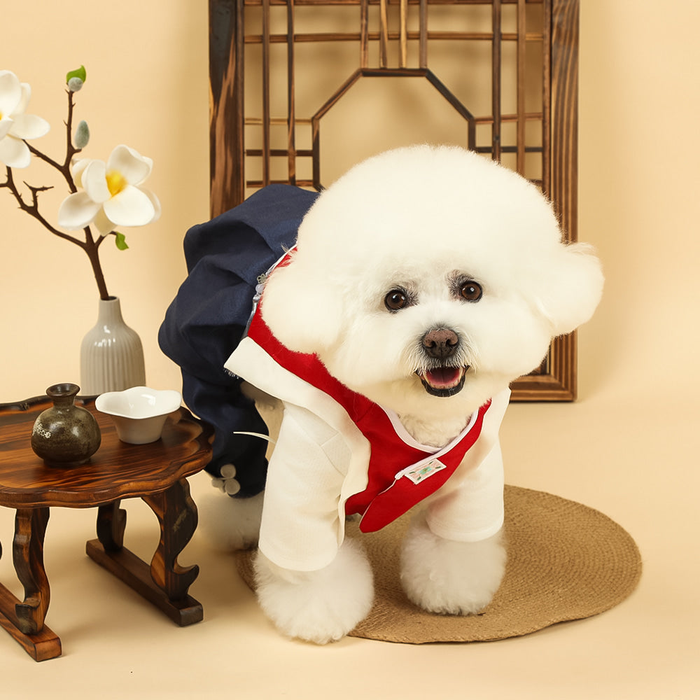 Red Baeja Vest pet Hanbok