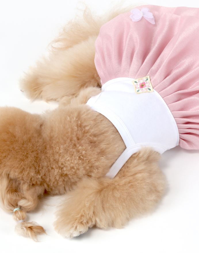 Organic Pink Pet Hanbok
