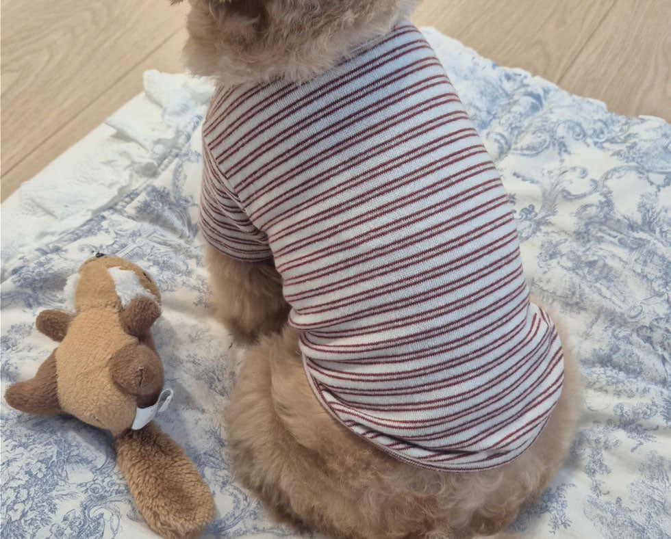 Butter Striped Dog Shirt