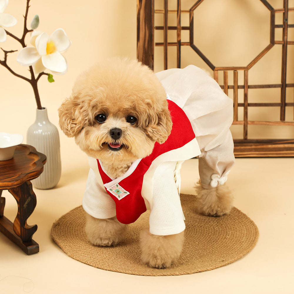 Red Baeja Vest pet Hanbok
