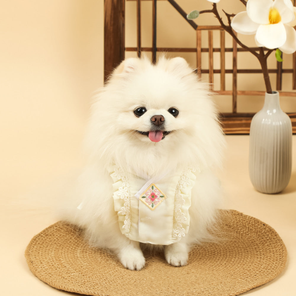 Floral Lace Baeja Vest Pet Hanbok