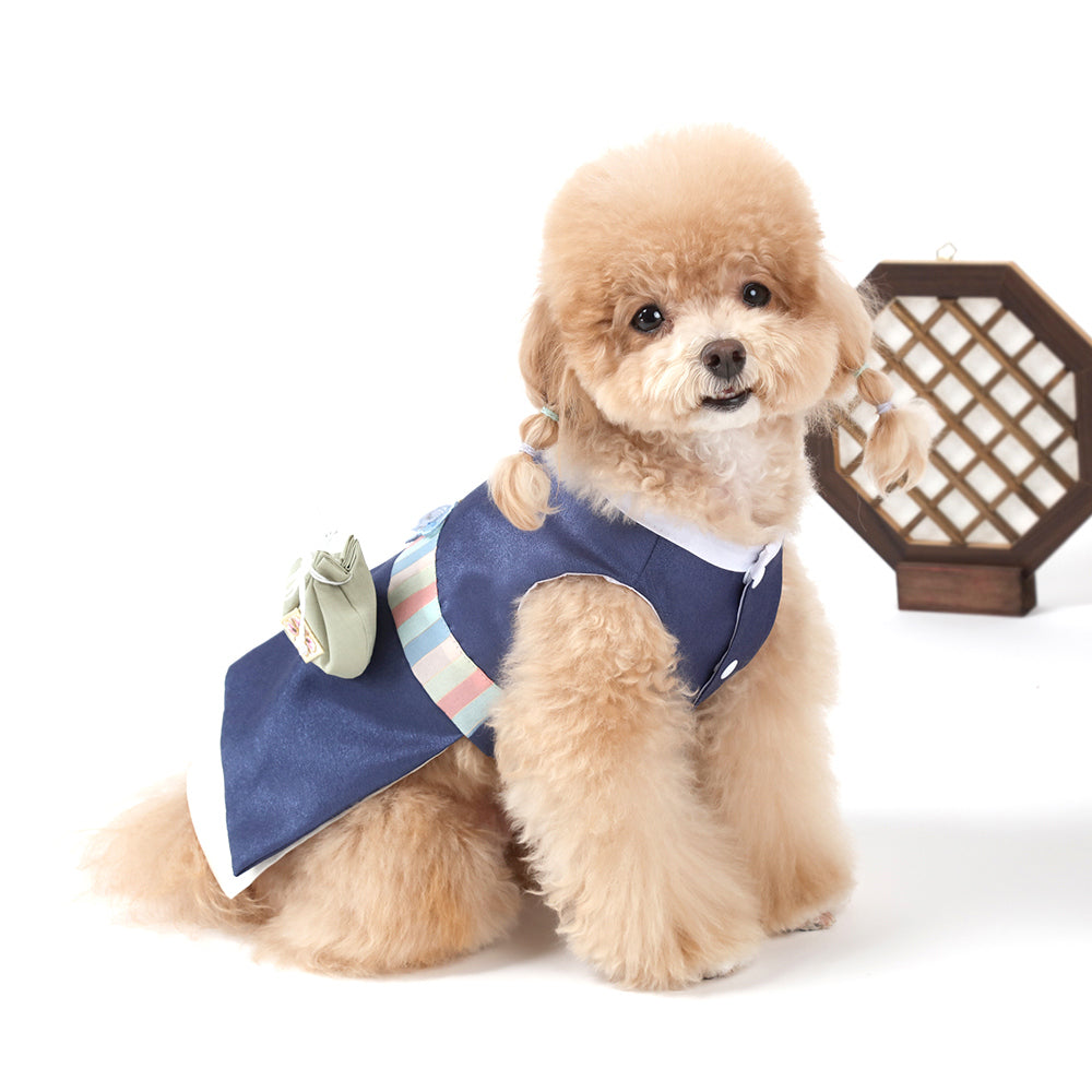 Navy Blue Pet Hanbok