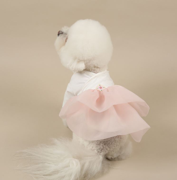 Daily Modern Cotton Hanbok