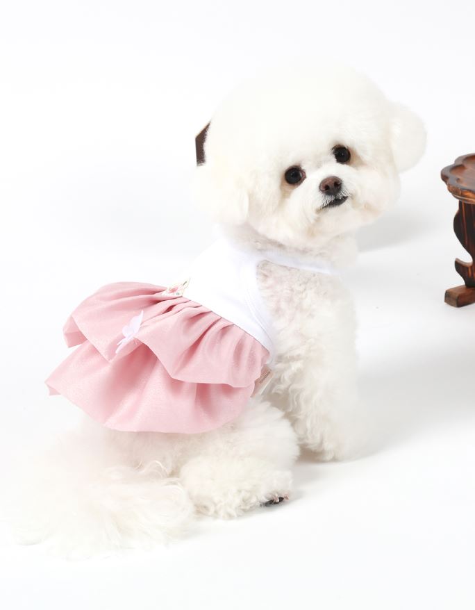 Organic Pink Pet Hanbok