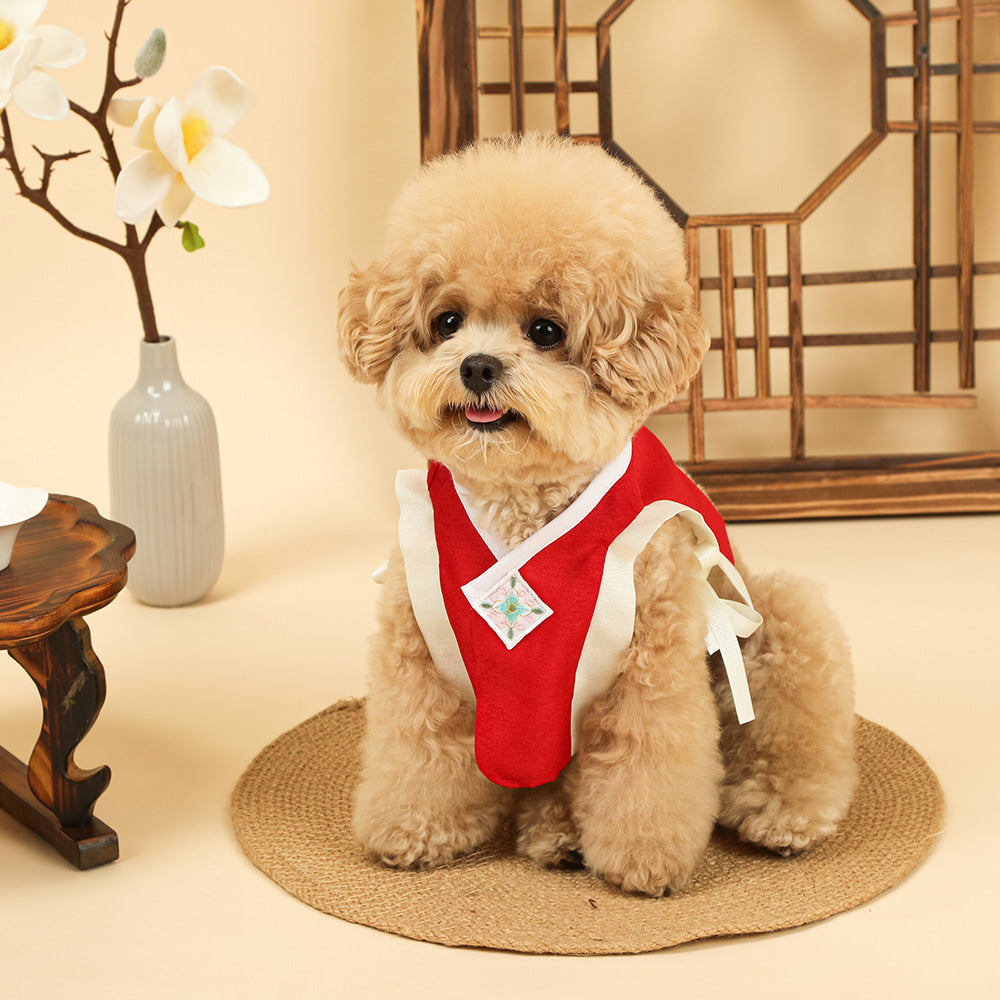 Red Baeja Vest pet Hanbok