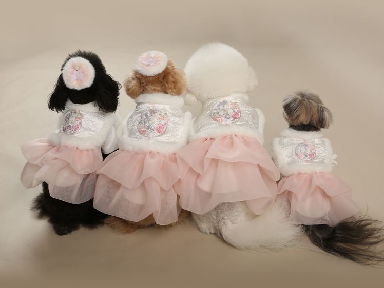 Daily Modern Cotton Hanbok