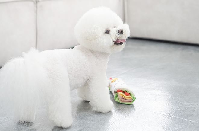 Tortilla Wrap Snuffle Dog Toy
