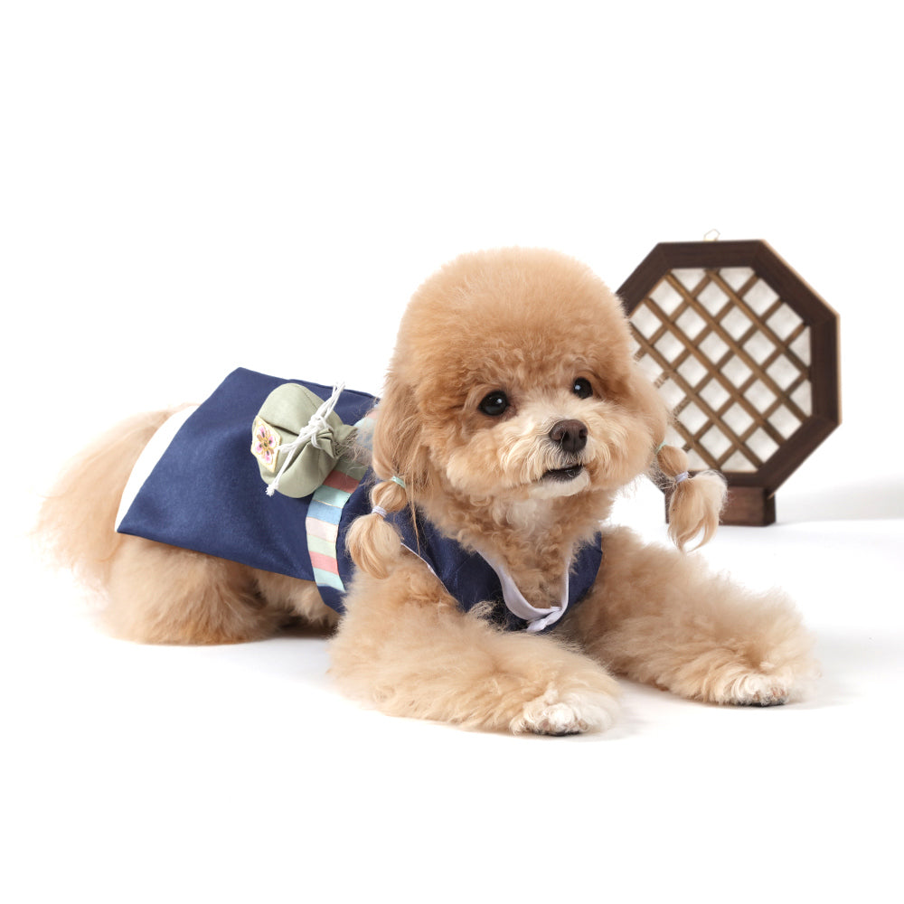 Navy Blue Pet Hanbok