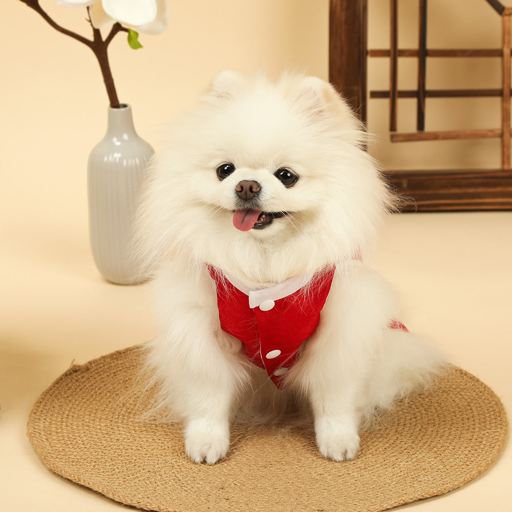 Phoenix Red Pet Hanbok