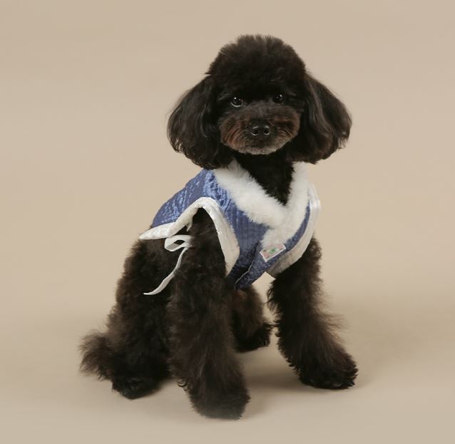 Royal Quilted Baeja Vest Pet Hanbok