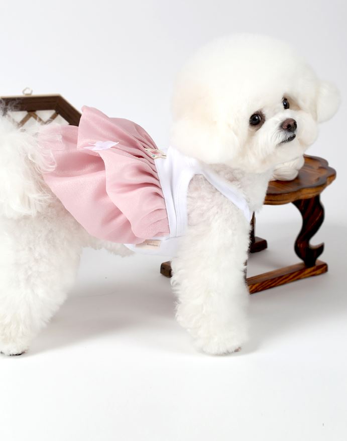 Organic Pink Pet Hanbok
