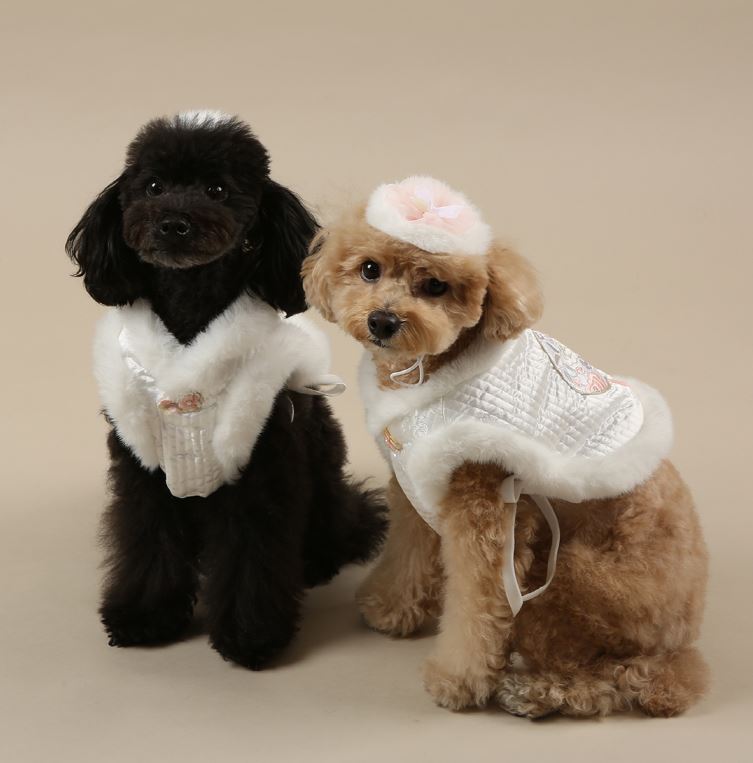 Floral Embroidered Vest Pet Hanbok