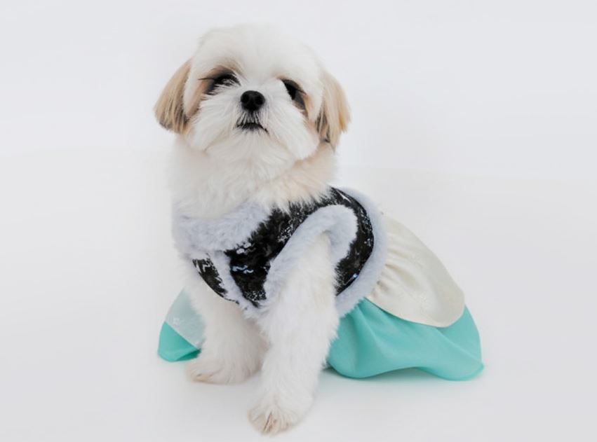 Traditional Crane Pet Vest Hanbok