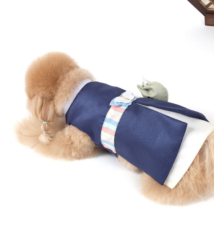 Navy Blue Pet Hanbok