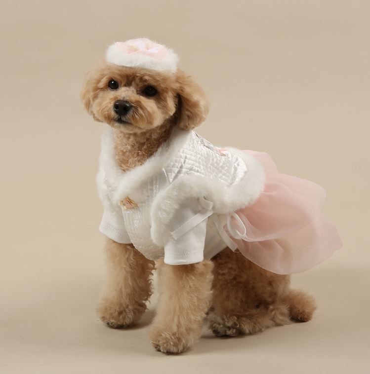 Daily Modern Cotton Hanbok