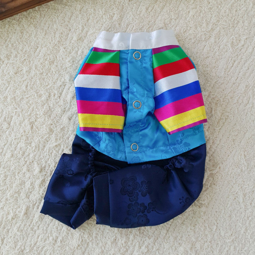Korean Saekdong pet hanbok with colorful striped sleeves and blue floral patterned fabric.