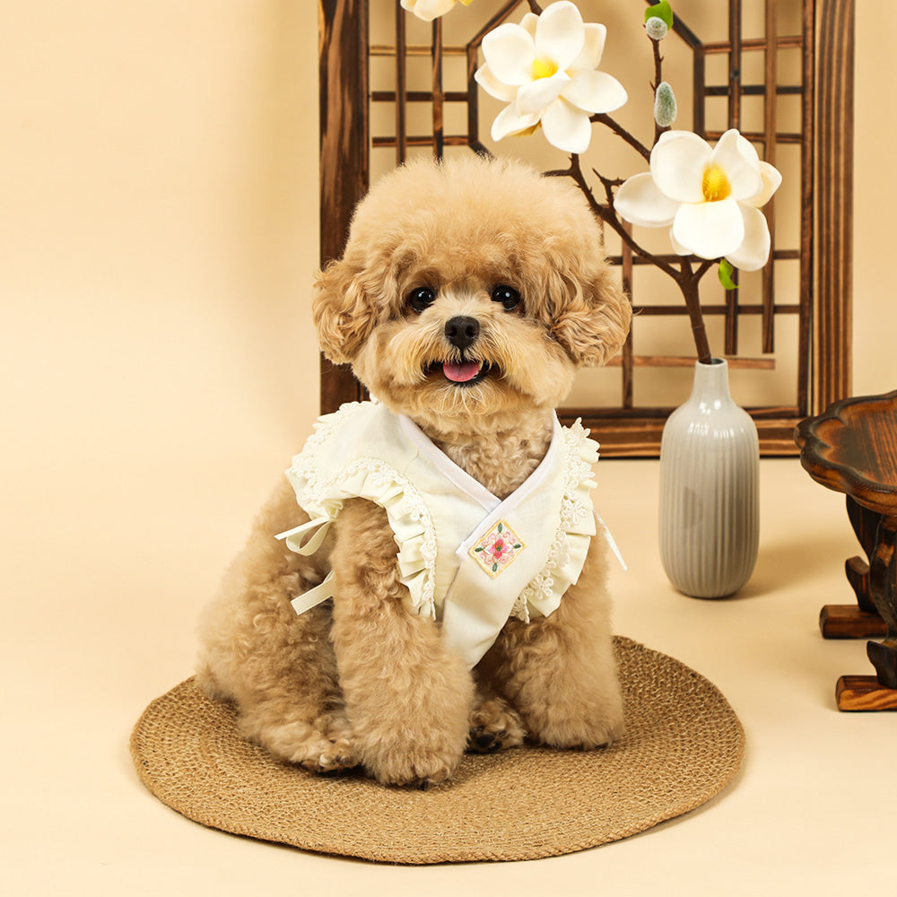 Floral Lace Baeja Vest Pet Hanbok