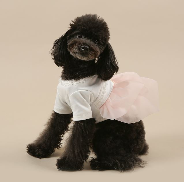 Daily Modern Cotton Hanbok