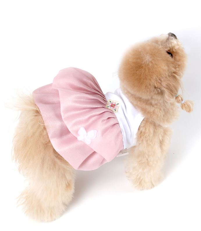 Organic Pink Pet Hanbok