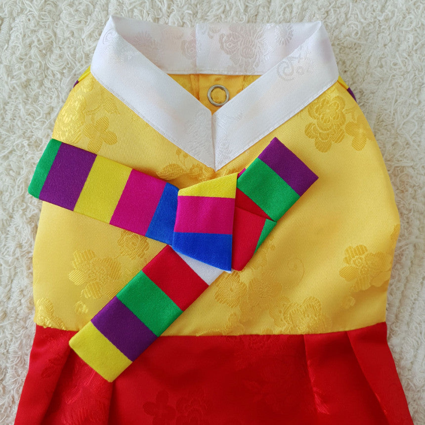 Korean Saekdong Pet Hanbok