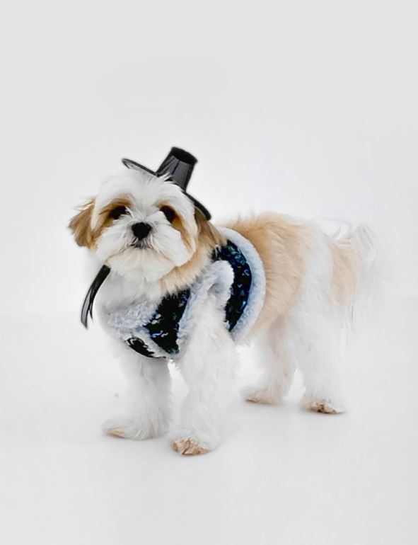 Traditional Crane Pet Vest Hanbok