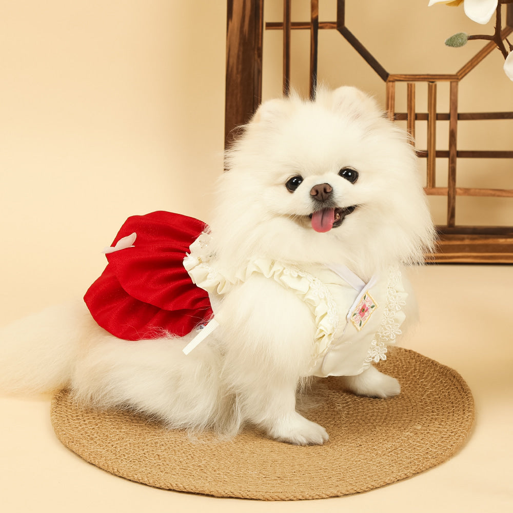 Floral Lace Baeja Vest Pet Hanbok