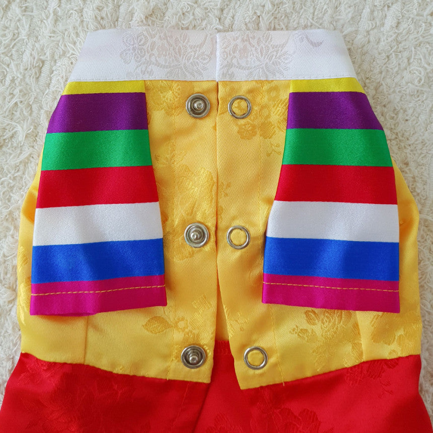 Korean Saekdong Pet Hanbok