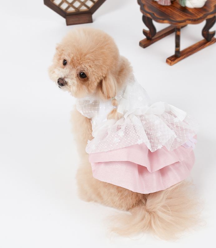 Organic Pink Pet Hanbok