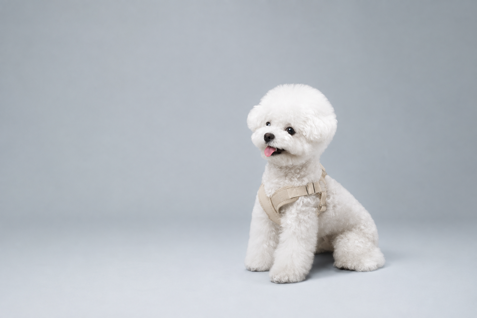 NKpup