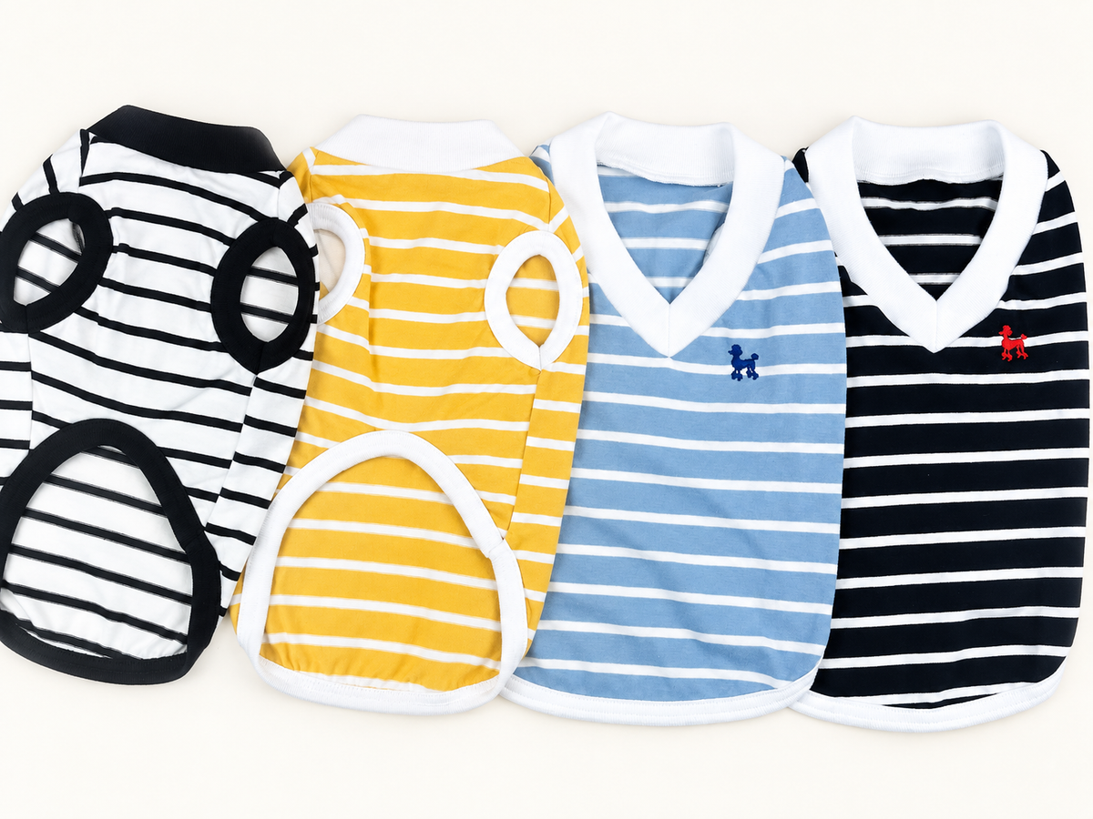 Classic Stripe Cotton V-Neck Top