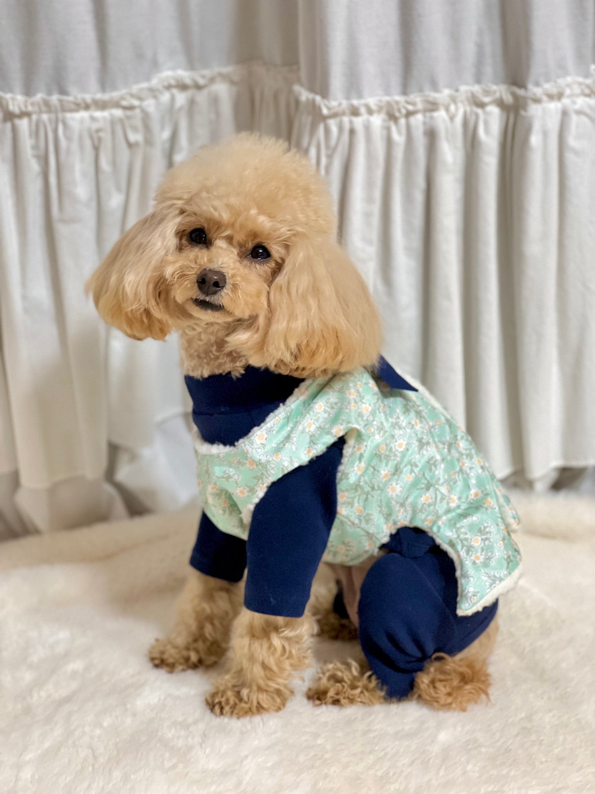 NKpup floral fleece pet hanbok vest in light mint green and navy blue