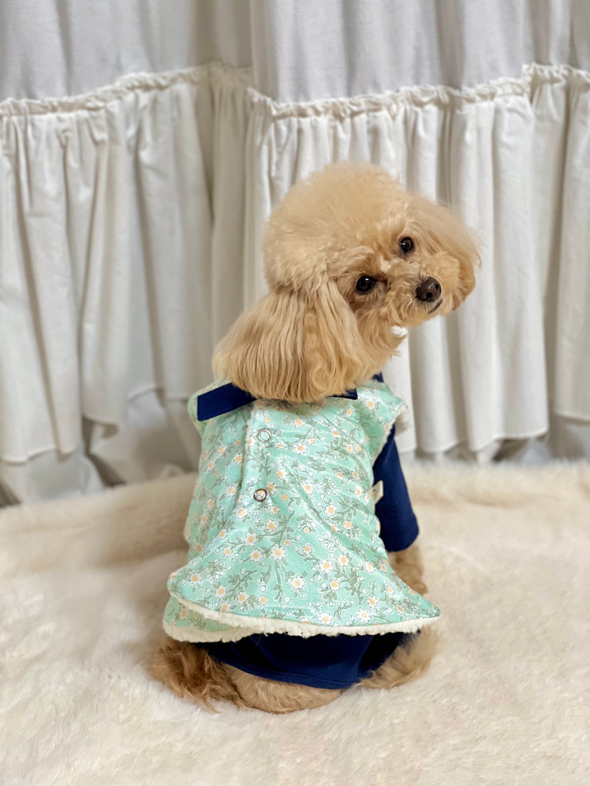 NKpup floral fleece pet hanbok vest in mint green with navy blue accents.