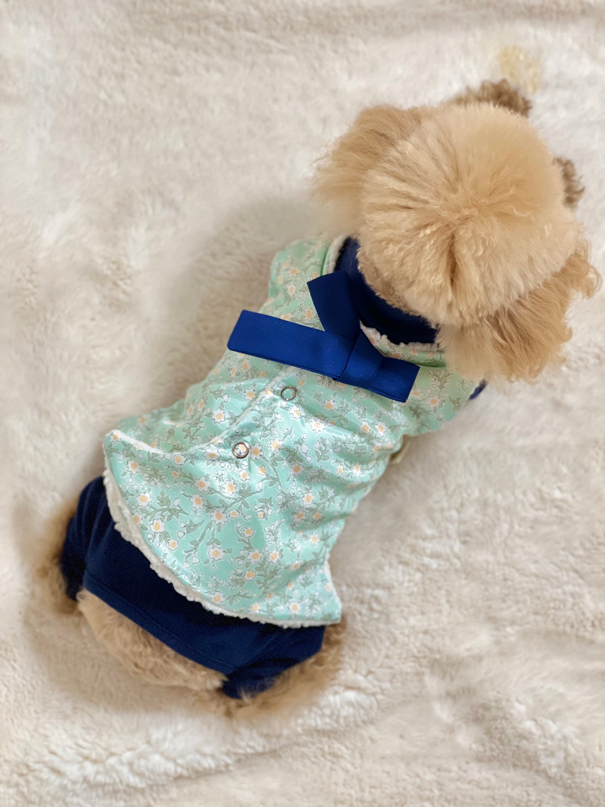 Floral fleece pet hanbok vest in mint green with a blue bow detail.