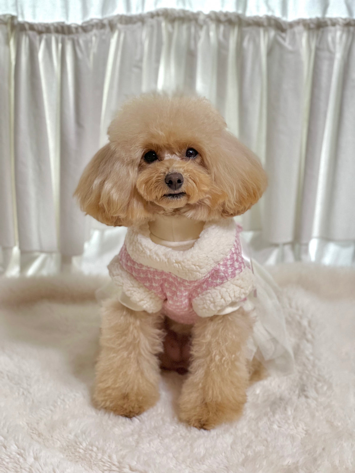Pink and white houndstooth pattern pet hanbok vest by NKpup