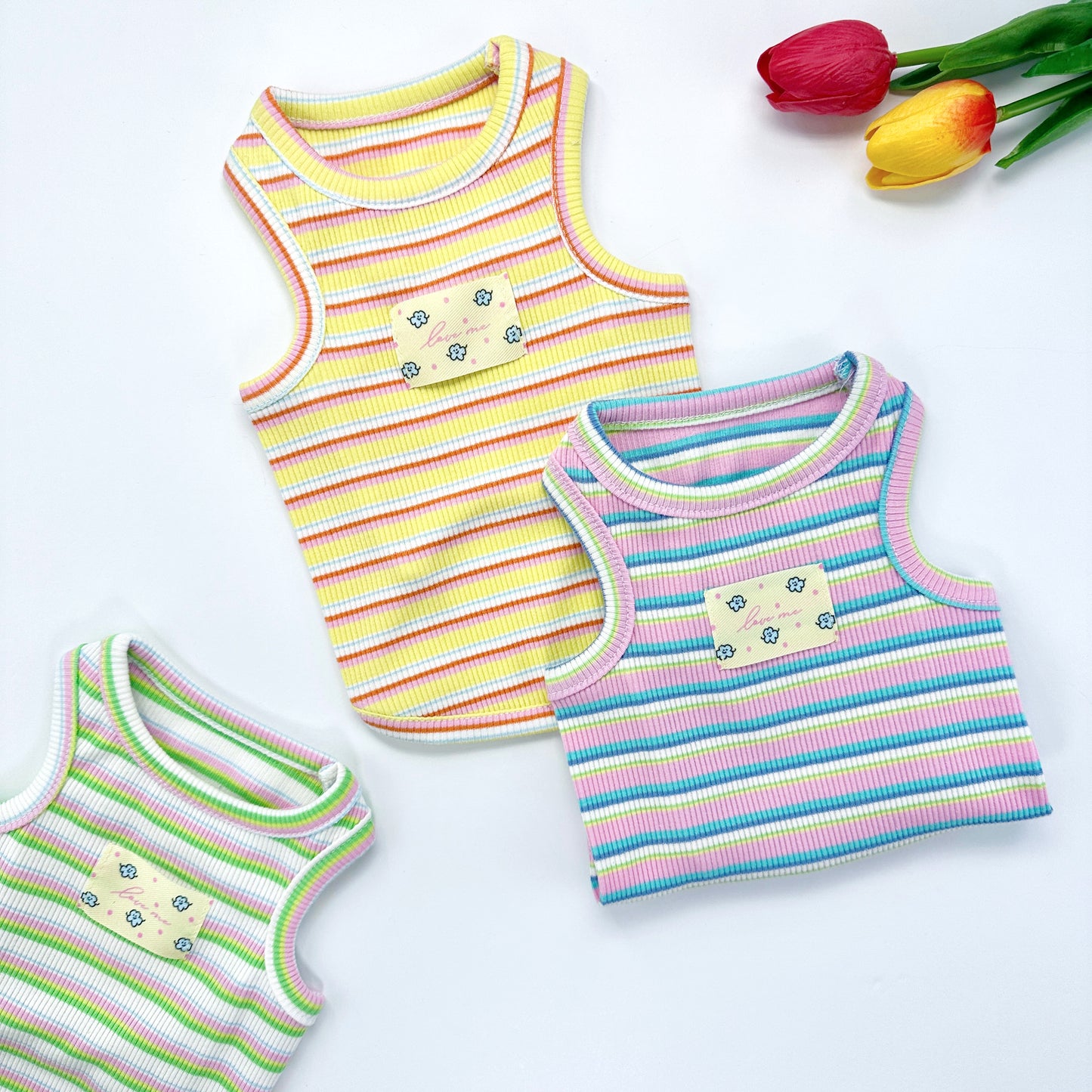 Fresh Stripe Top