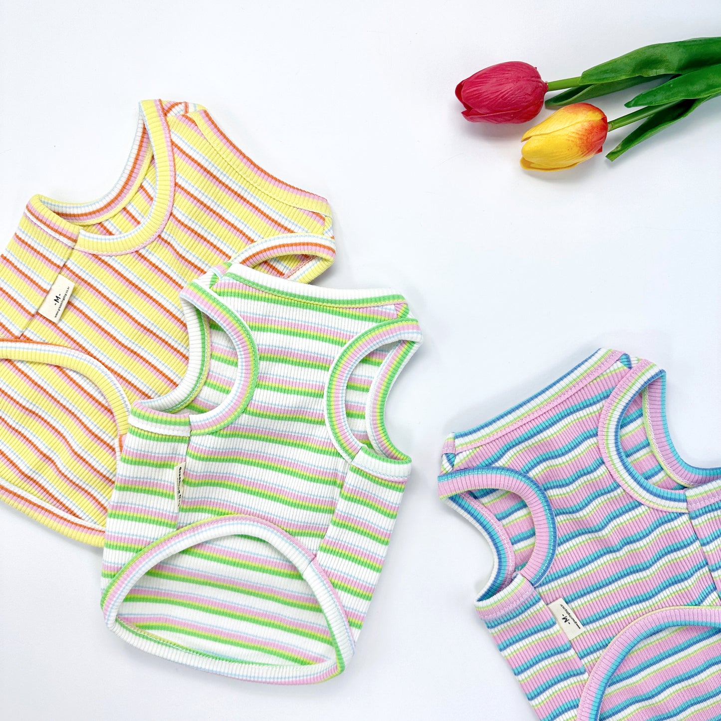 Fresh Stripe Top