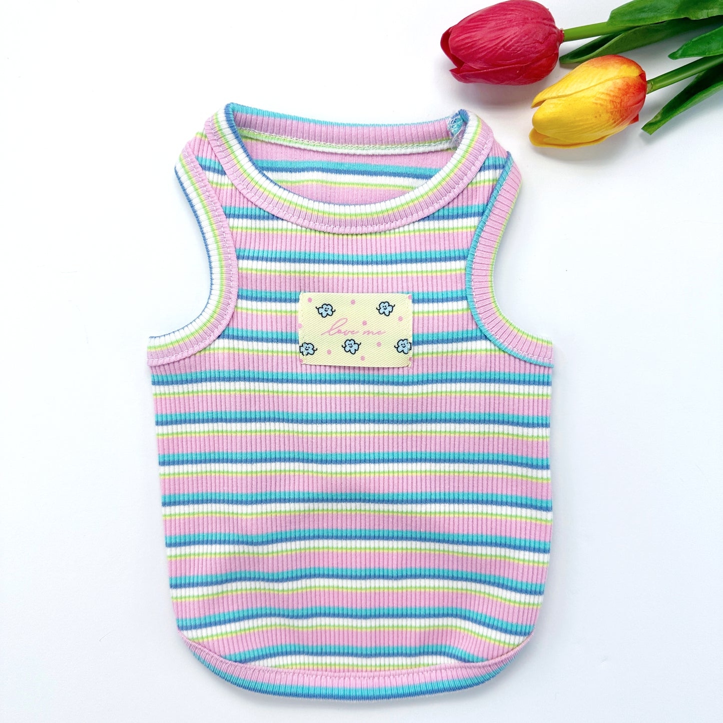 Fresh Stripe Top