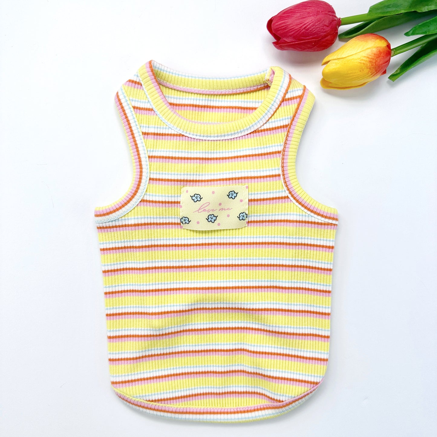Fresh Stripe Top