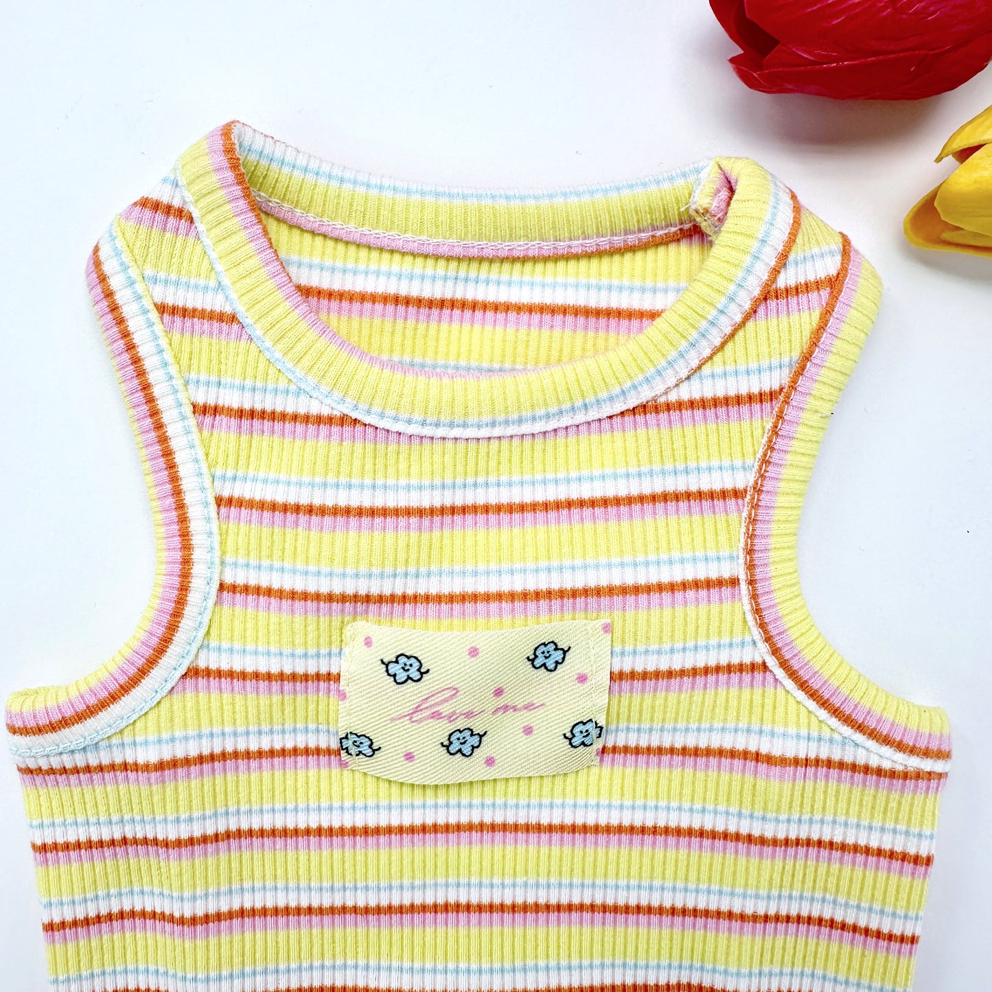 Fresh Stripe Top