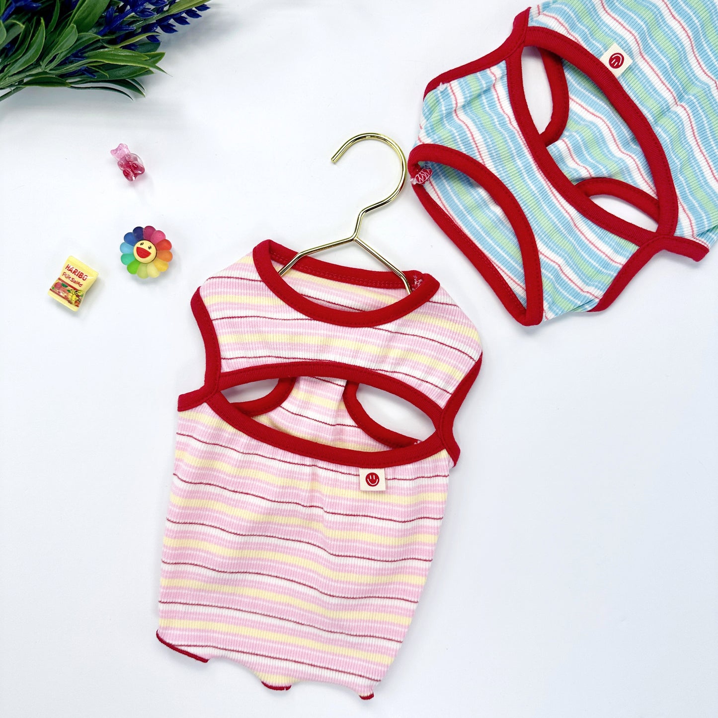 Pastel Stripe Top