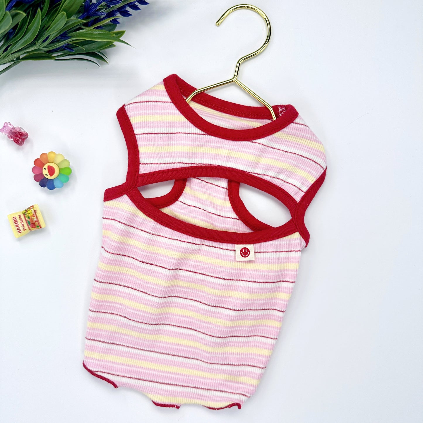Pastel Stripe Top