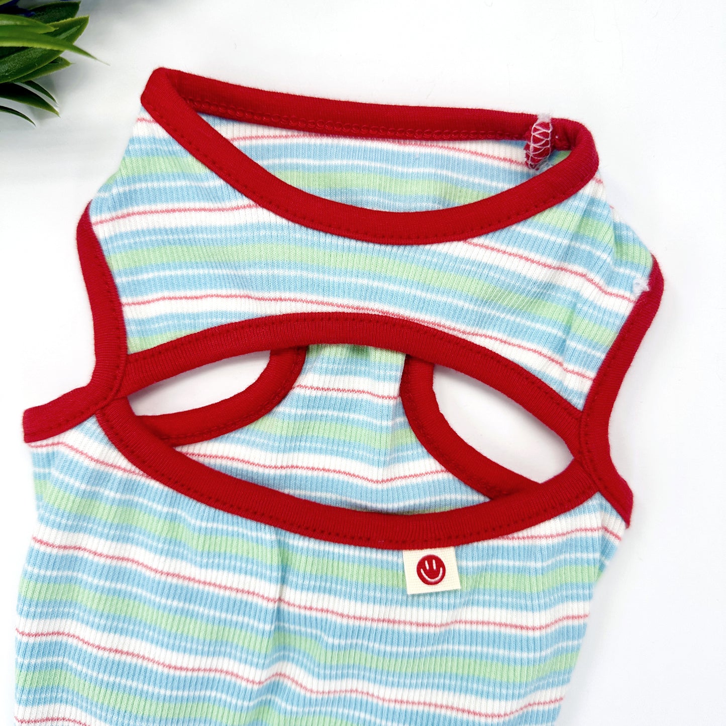 Pastel Stripe Top