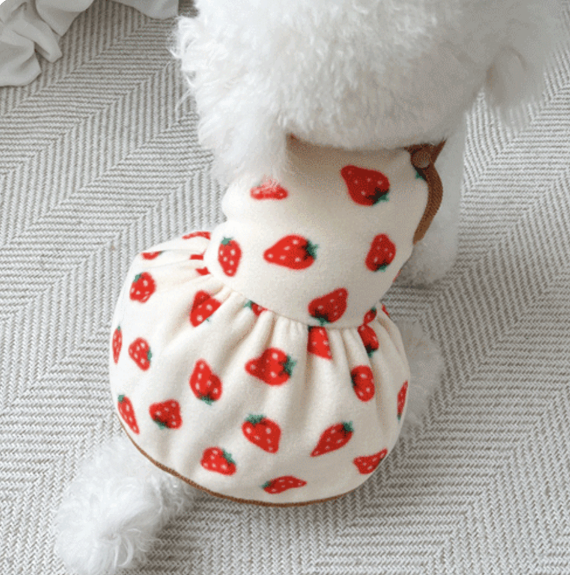 Strawberry Fleece Dog Dress