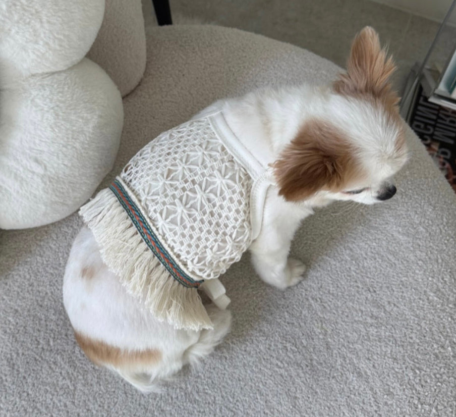 NKpup Daisy Crochet Dog Tank Top in white with fringe trim