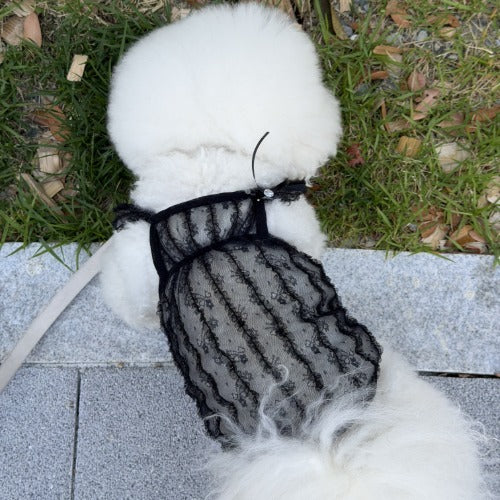 Lace Sheer Princess Top