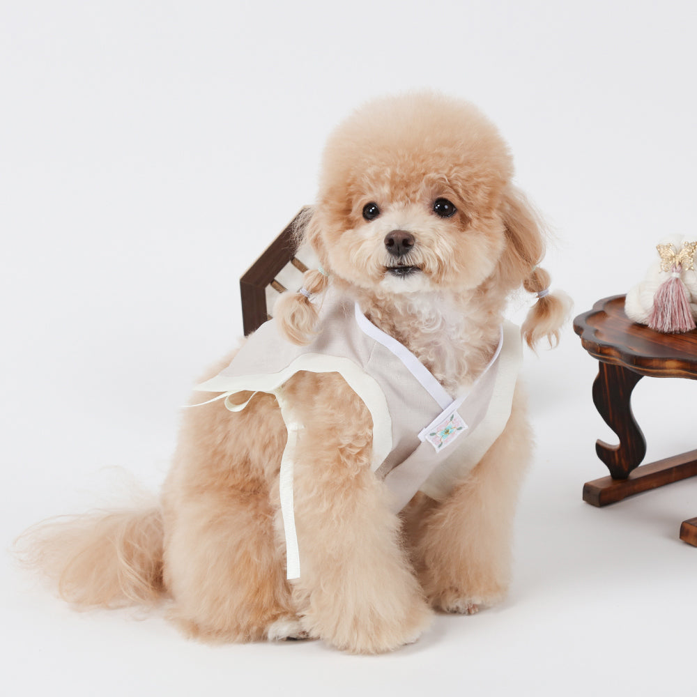 Traditional Baeja Vest Pet Hanbok
