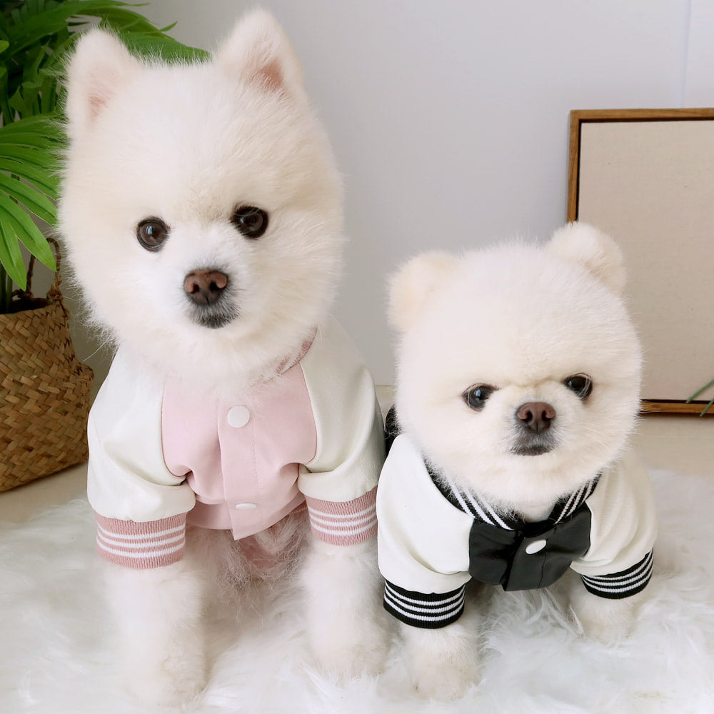 Bear Brothers Leather Dog Jacket